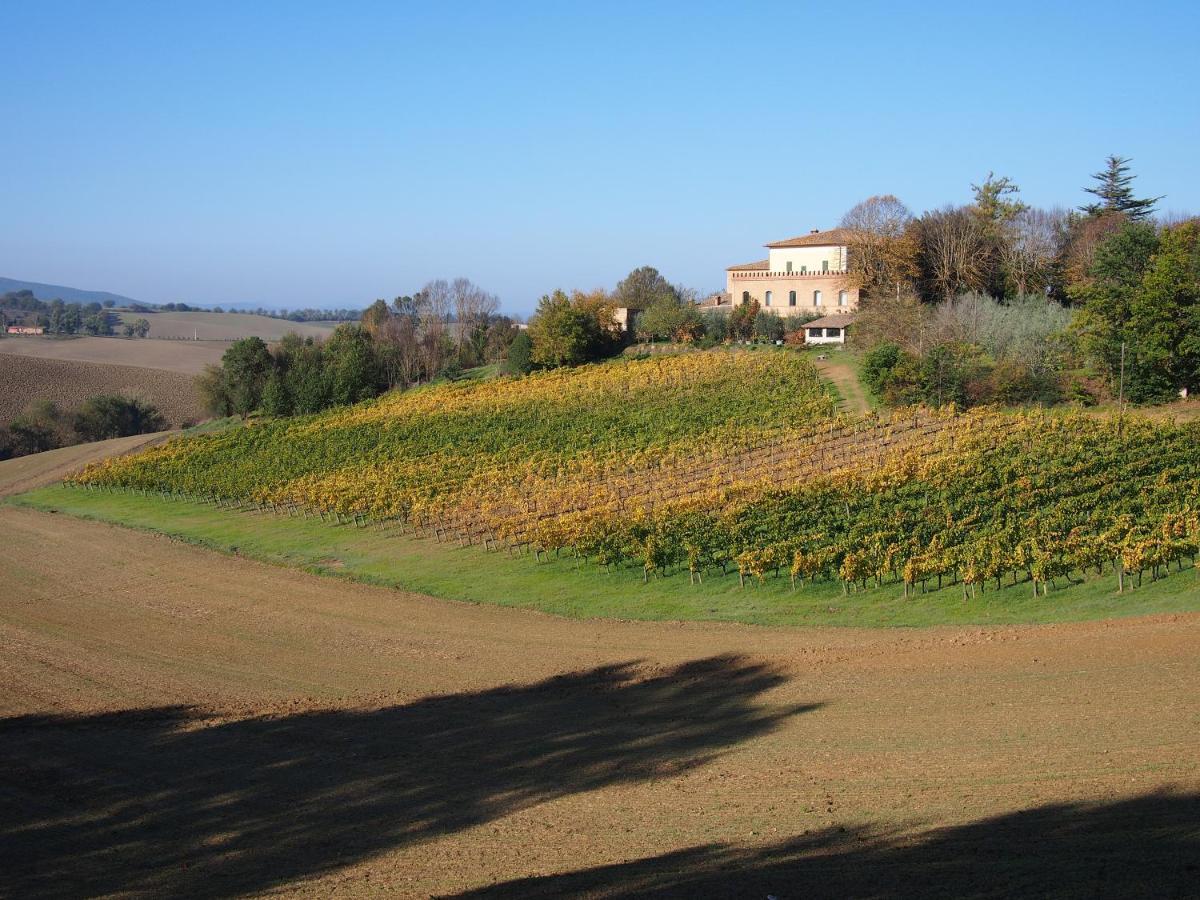 Agriturismo Poggiarellino - مونتالشينو المظهر الخارجي الصورة