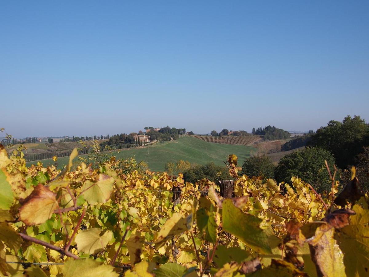 Agriturismo Poggiarellino - مونتالشينو المظهر الخارجي الصورة