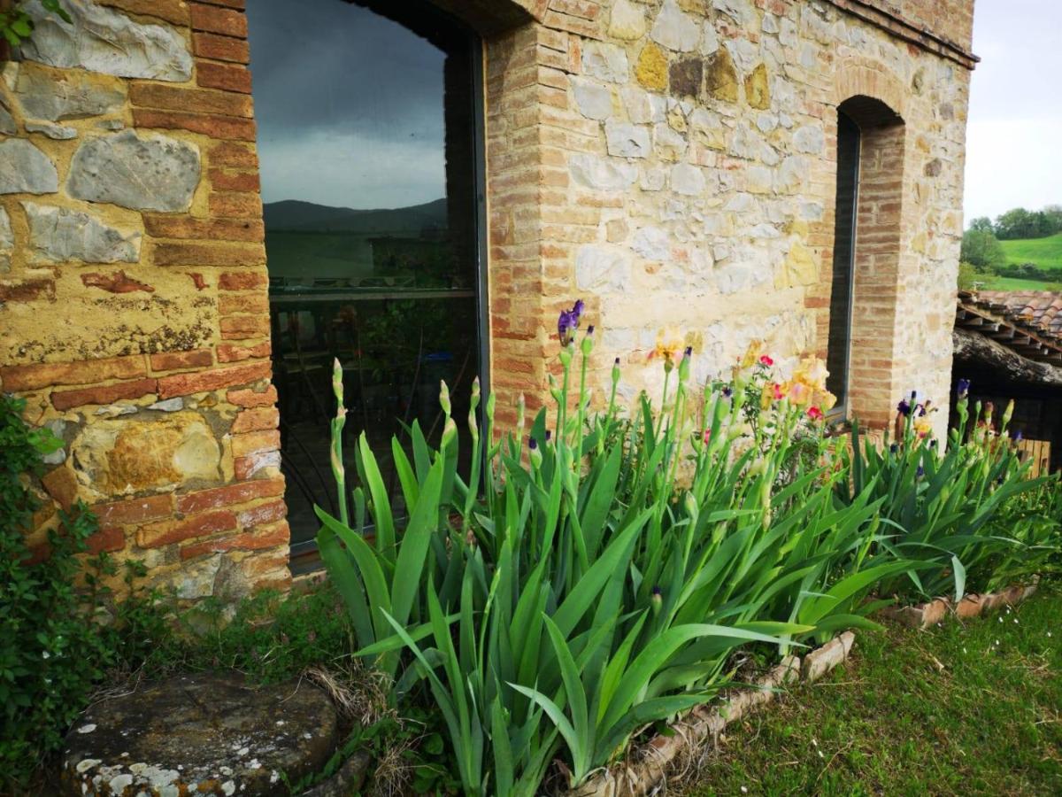 Agriturismo Poggiarellino - مونتالشينو المظهر الخارجي الصورة