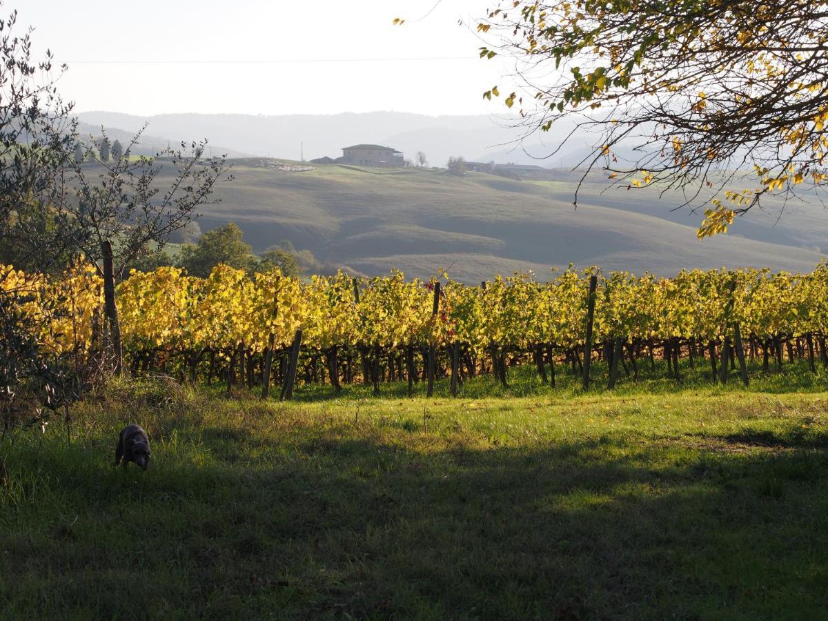 Agriturismo Poggiarellino - مونتالشينو المظهر الخارجي الصورة