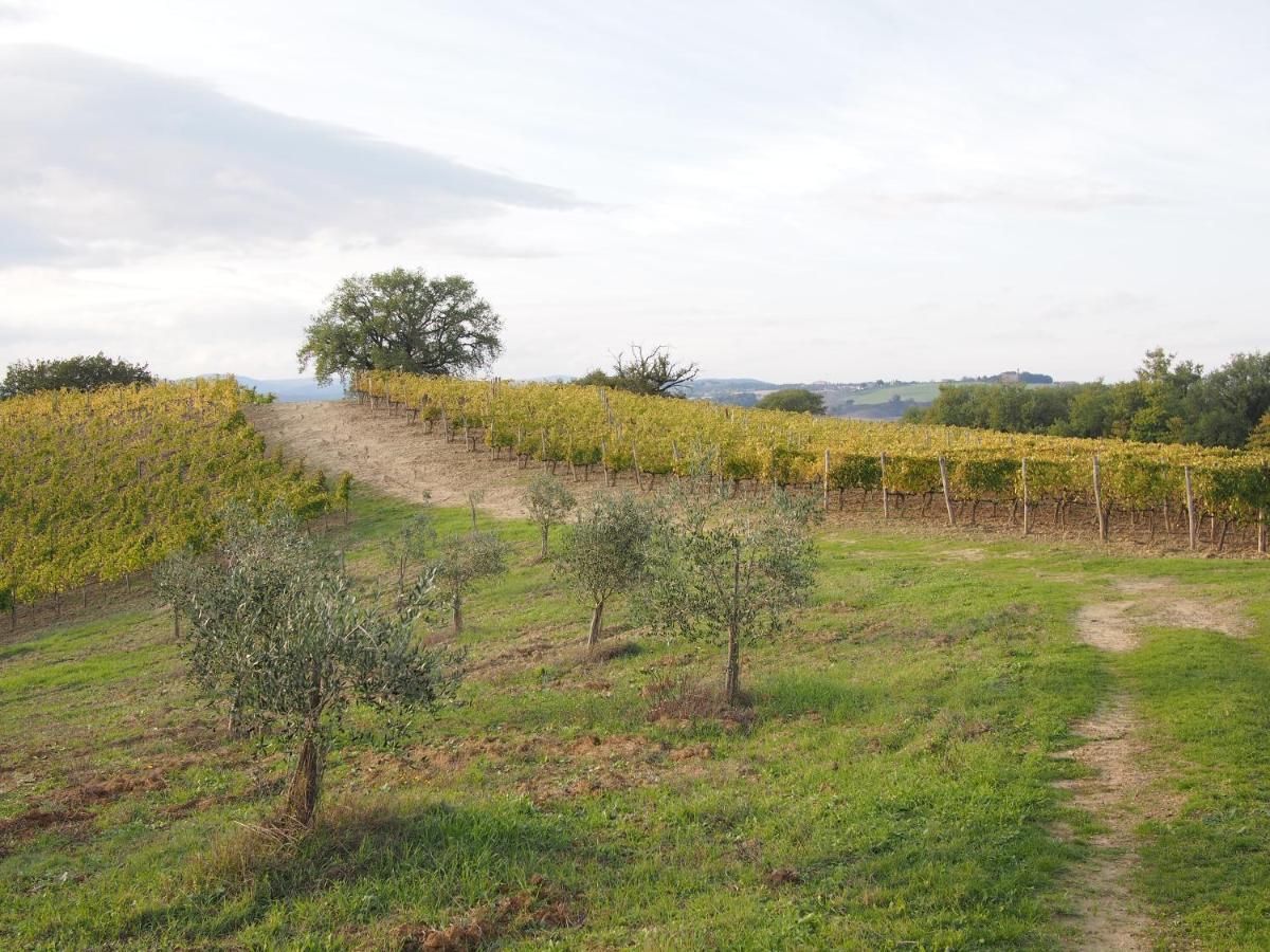 Agriturismo Poggiarellino - مونتالشينو المظهر الخارجي الصورة