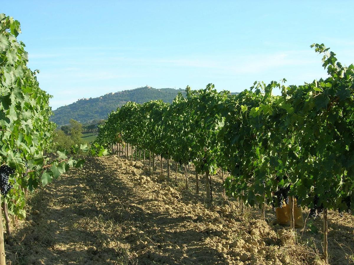 Agriturismo Poggiarellino - مونتالشينو المظهر الخارجي الصورة