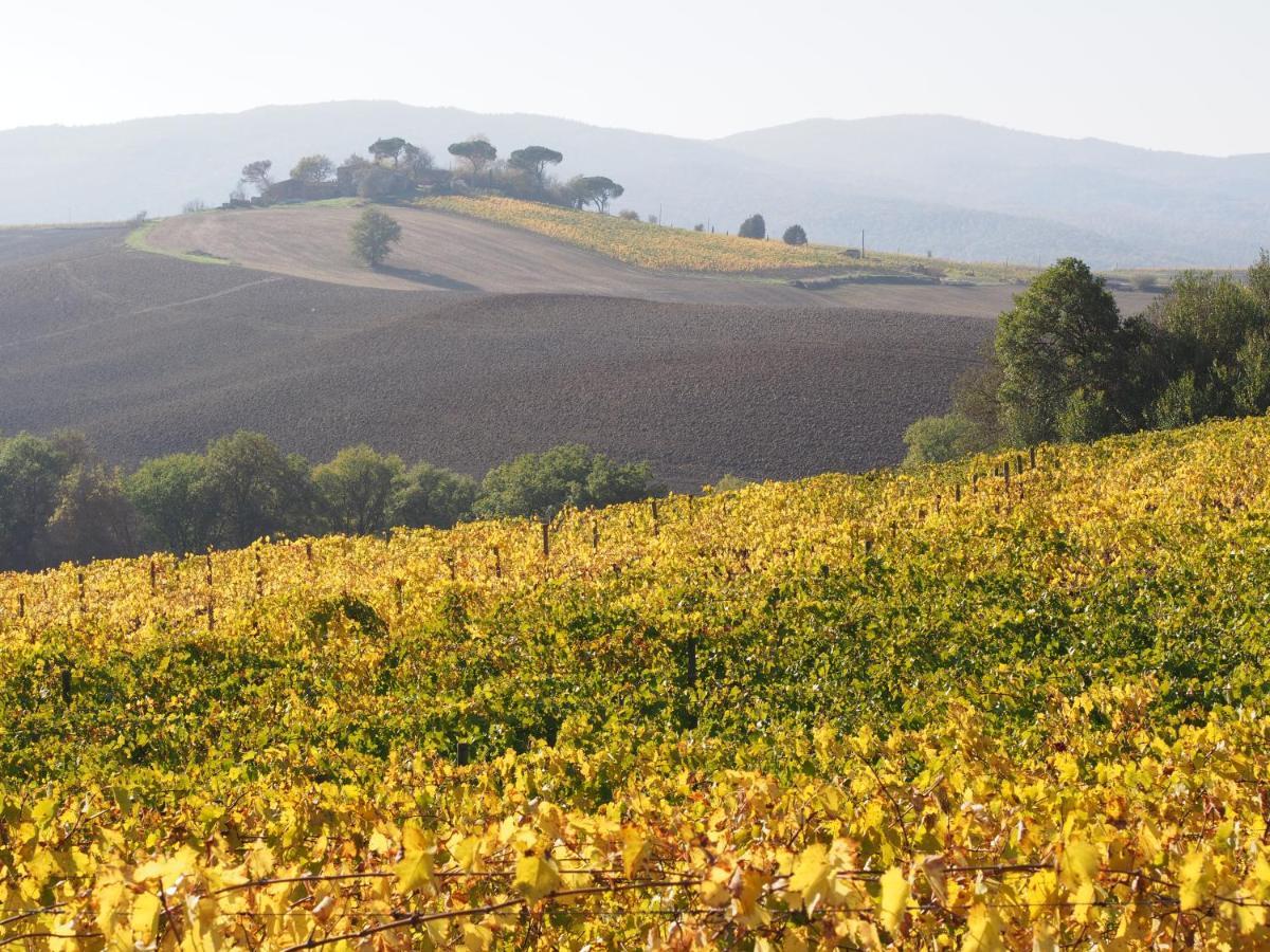 Agriturismo Poggiarellino - مونتالشينو المظهر الخارجي الصورة